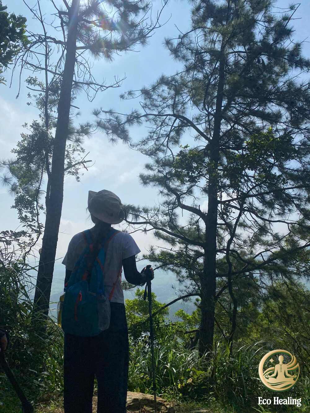 Trekking Hàm Lợn: Trải nghiệm leo núi nhẹ nhàng gần Hà Nội cho cuối tuần