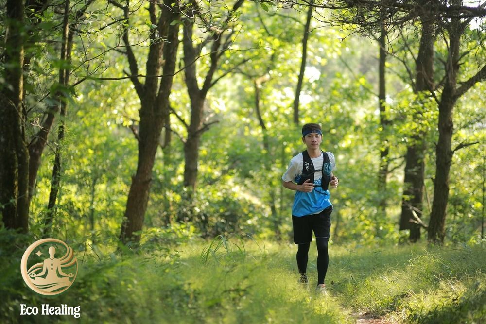Trekking Hàm Lợn Trải nghiệm leo núi nhẹ nhàng gần Hà Nội cho cuối tuần