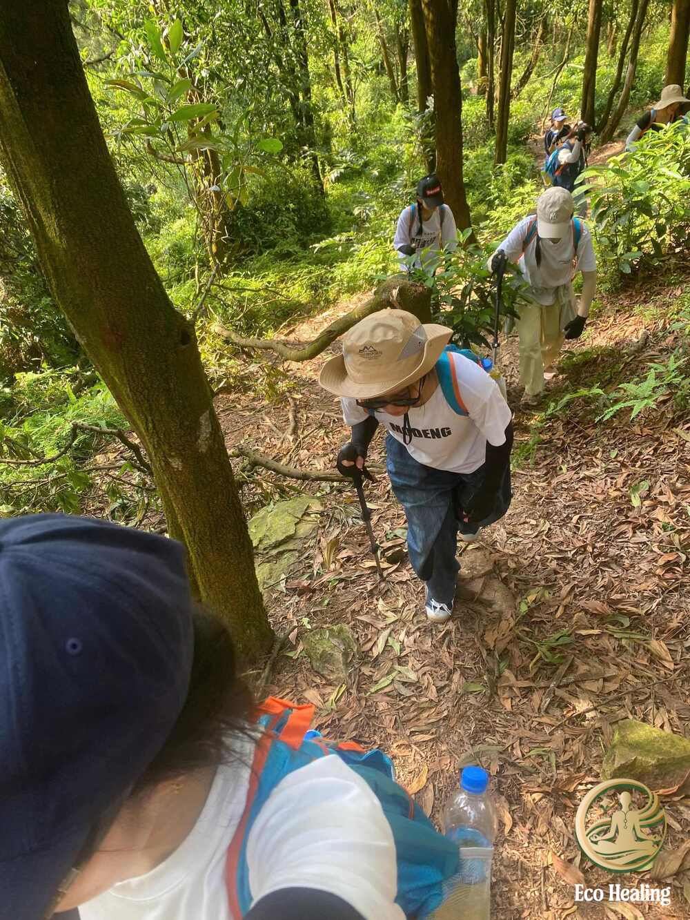 Trekking Hàm Lợn Trải nghiệm leo núi nhẹ nhàng gần Hà Nội cho cuối tuần