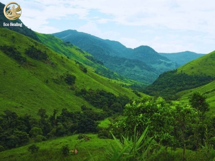 Trekking Tà Giang: Bỏ phố về rừng, khám phá thảo nguyên xanh giữa lòng Khánh Hòa.