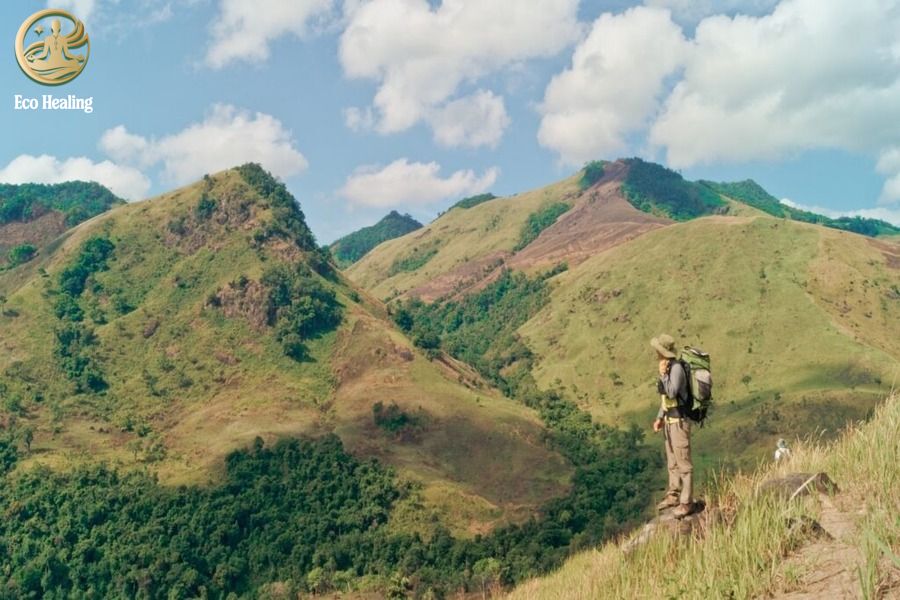 Trekking Tà Giang: Bỏ phố về rừng, khám phá thảo nguyên xanh giữa lòng Khánh Hòa.