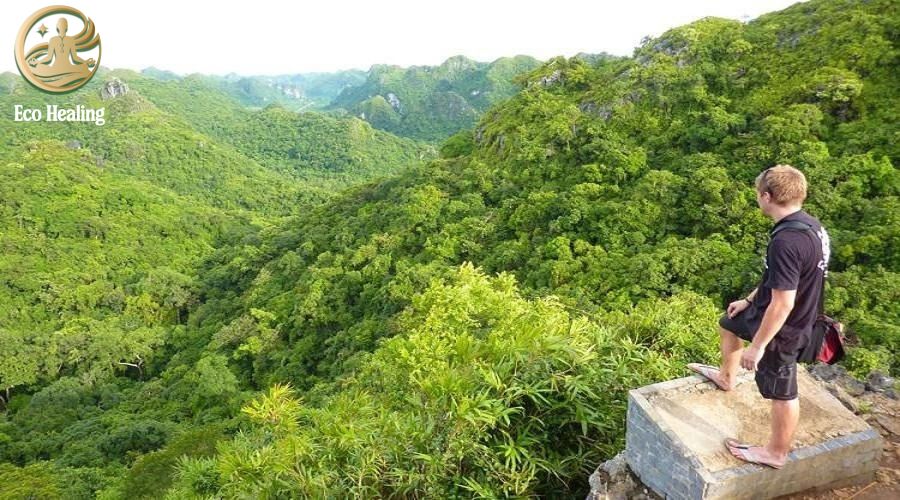 Trekking Vườn Quốc Gia Cát Bà: Thử thách leo núi Kim Giao ngắm toàn cảnh đảo ngọc.