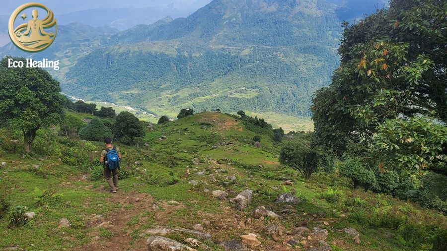 Trekking Vườn Quốc Gia Cát Bà Thử thách leo núi Kim Giao ngắm toàn cảnh đảo ngọc.