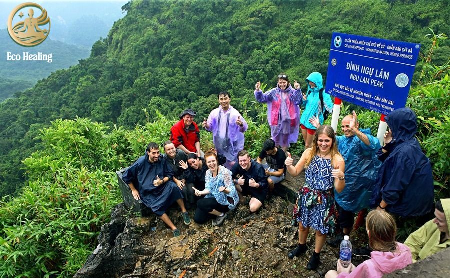 Trekking Vườn Quốc Gia Cát Bà: Thử thách leo núi Kim Giao ngắm toàn cảnh đảo ngọc.
