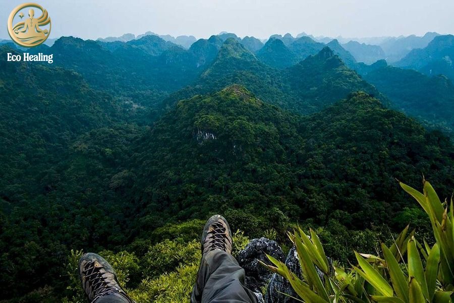 Trekking Vườn Quốc Gia Cát Bà: Thử thách leo núi Kim Giao ngắm toàn cảnh đảo ngọc.