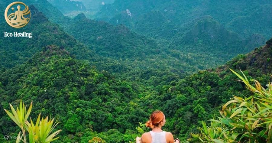 Trekking Vườn Quốc Gia Cát Bà: Thử thách leo núi Kim Giao ngắm toàn cảnh đảo ngọc.