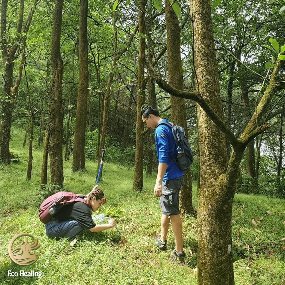 V&igrave; sao trekking H&agrave;m Lợn ph&ugrave; hợp cho chuyến đi chữa l&agrave;nh ngắn ng&agrave;y?