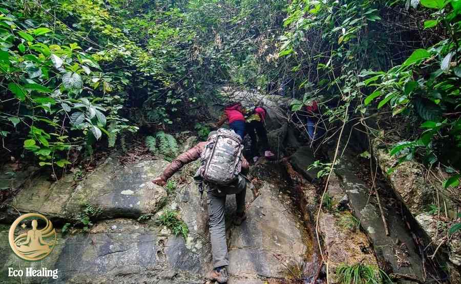 V&igrave; sao trekking H&agrave;m Lợn ph&ugrave; hợp cho chuyến đi chữa l&agrave;nh ngắn ng&agrave;y?