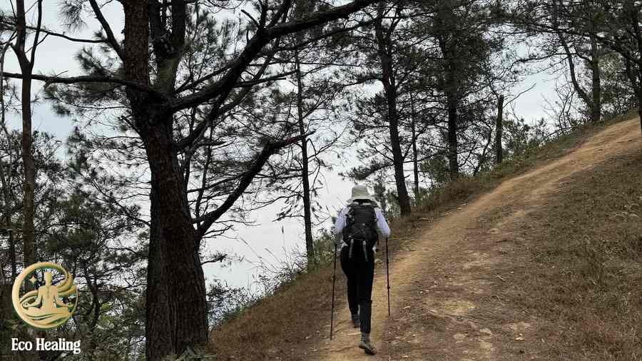 V&igrave; sao trekking H&agrave;m Lợn ph&ugrave; hợp cho chuyến đi chữa l&agrave;nh ngắn ng&agrave;y?