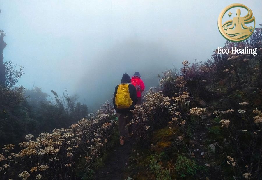 Cảnh báo: 4 rủi ro thời tiết cần tránh khi lên kế hoạch Trekking.