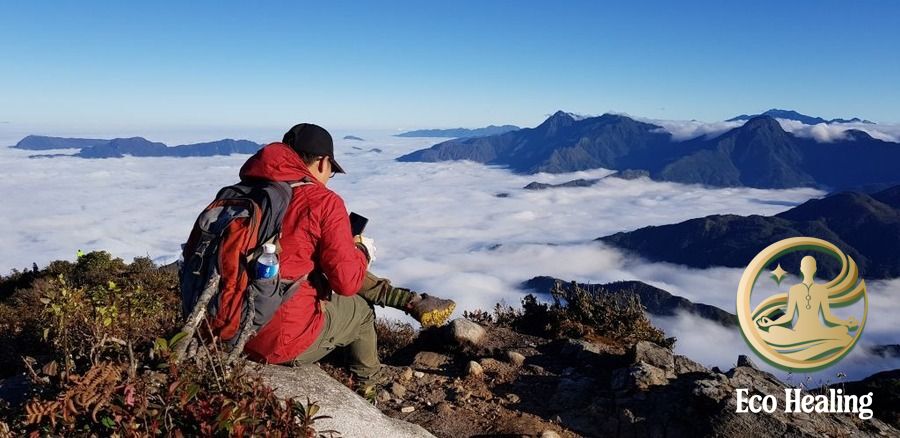 Hướng dẫn Sơ cứu cơ bản khi bị côn trùng cắn hoặc chấn thương nhẹ.