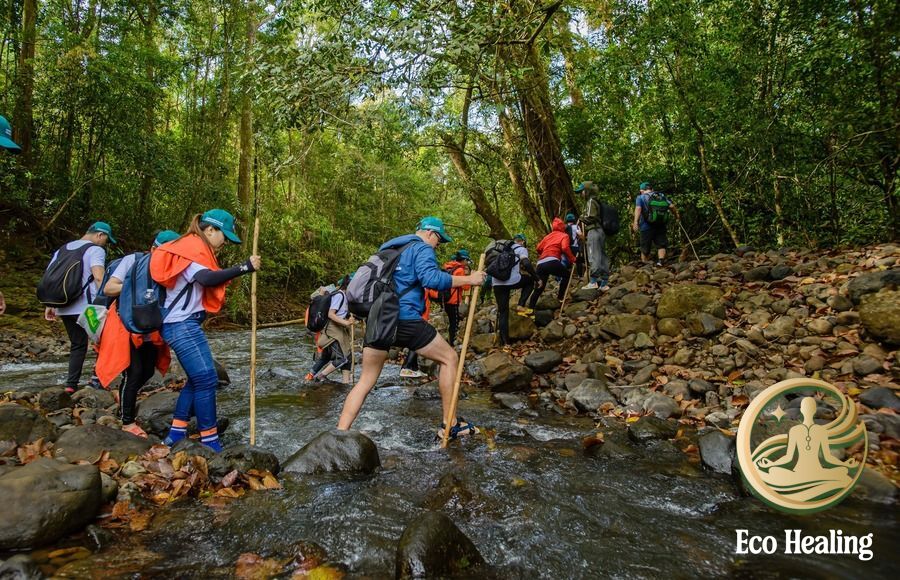 Hướng dẫn Sơ cứu cơ bản khi bị côn trùng cắn hoặc chấn thương nhẹ.