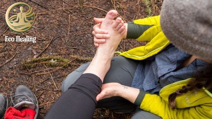 Hướng dẫn Sơ cứu cơ bản khi bị côn trùng cắn hoặc chấn thương nhẹ.