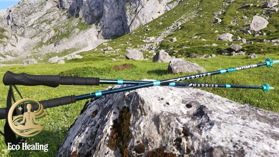 So sánh: Nên mua Gậy Trekking loại nào? Carbon hay Hợp kim?