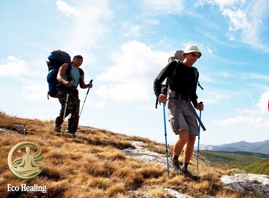 So sánh: Nên mua Gậy Trekking loại nào? Carbon hay Hợp kim?