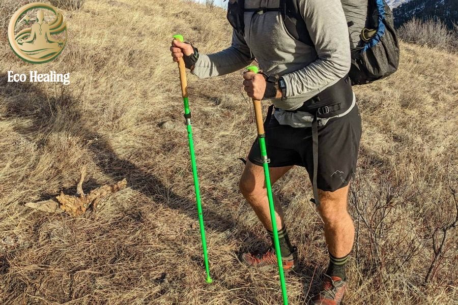 So sánh: Nên mua Gậy Trekking loại nào? Carbon hay Hợp kim?