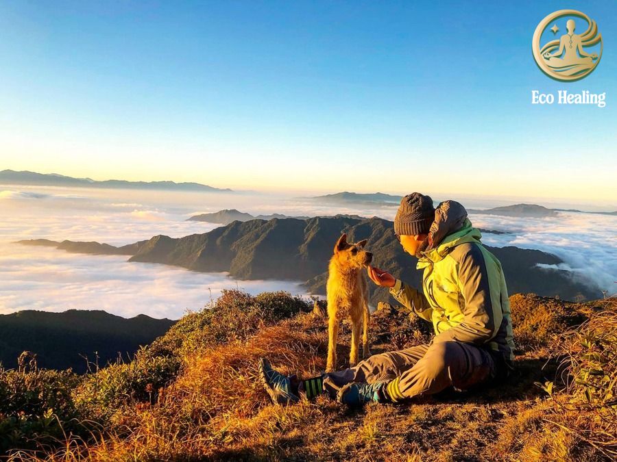 3 Cách để Giữ tinh thần tích cực khi gặp khó khăn trên đường Trek.