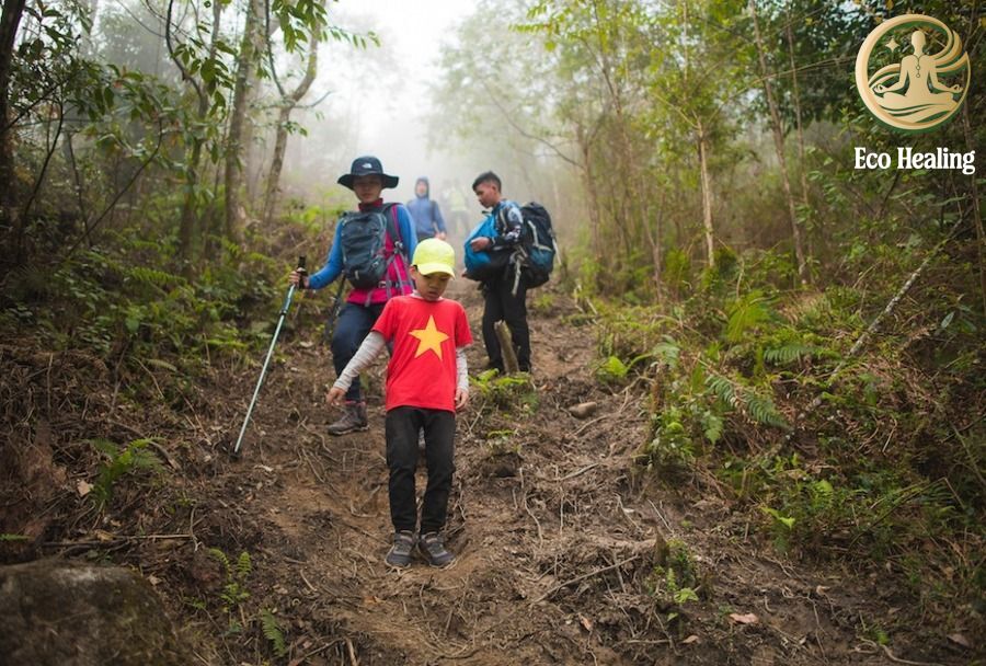 Cần chuẩn bị gì cho chuyến Trekking cùng trẻ em?