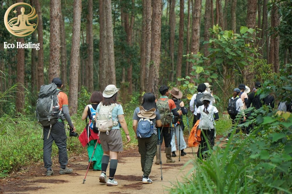 Hướng dẫn cách đi Trekking theo nhóm hiệu quả và an toàn.