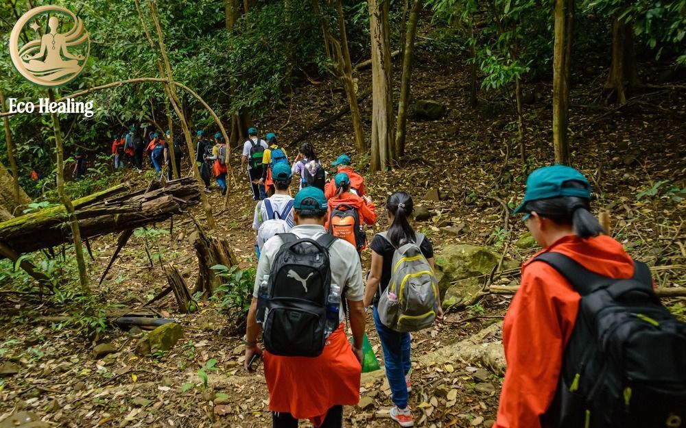 Hướng dẫn cách đi Trekking theo nhóm hiệu quả và an toàn.
