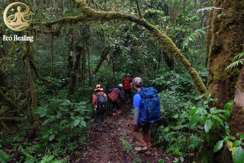 Hướng dẫn cách đi Trekking theo nhóm hiệu quả và an toàn.