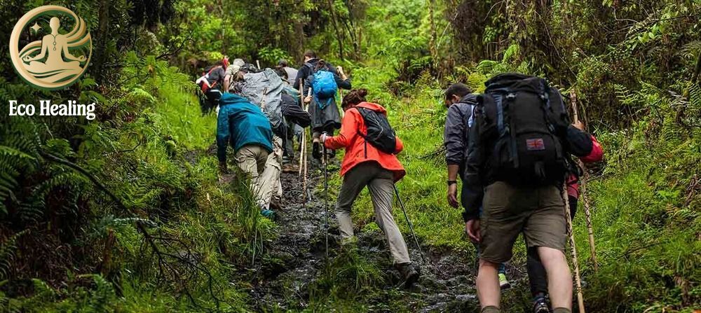 Hướng dẫn cách đi Trekking theo nhóm hiệu quả và an toàn.