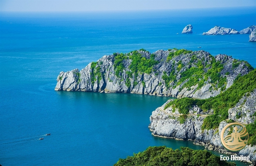 Cảnh báo nguy hiểm: Những lưu ý khi Trekking vào khu vực núi đá Cát Bà.