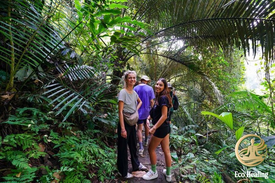 Forest trekking Vietnam