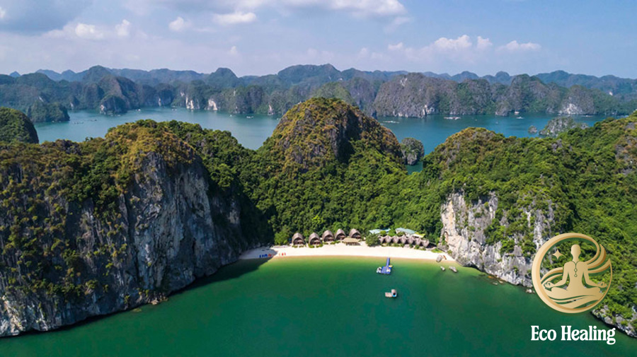 Kinh nghiệm khám phá Vịnh Lan Hạ bằng Kayaking kết hợp Trekking