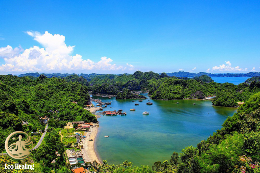 Mẹo di chuyển từ Hải Phòng đến các điểm Trekking ở Cát Bà nhanh nhất.