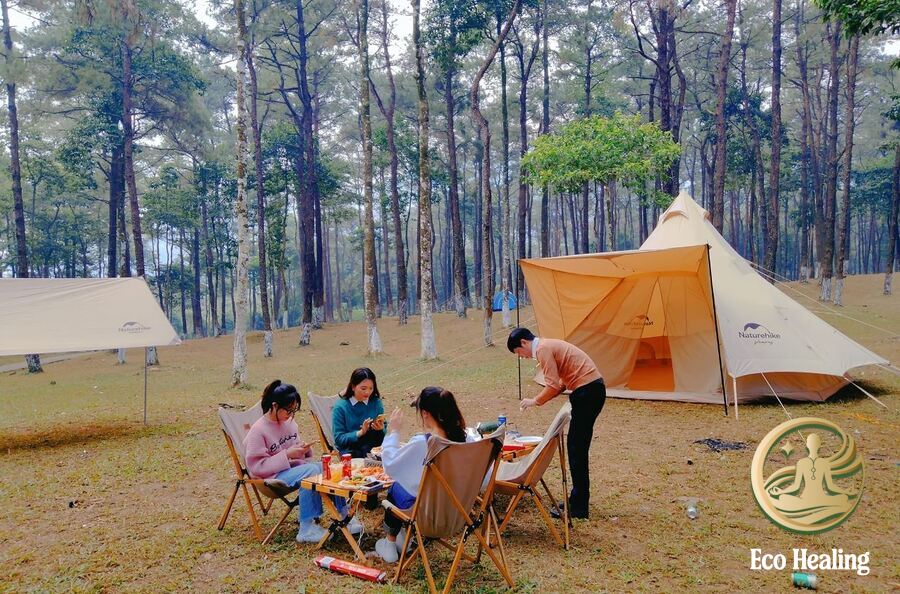 Review thực tế khu vực cắm trại trong rừng ở Cát Bà.